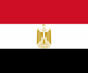 السفاره المصريه