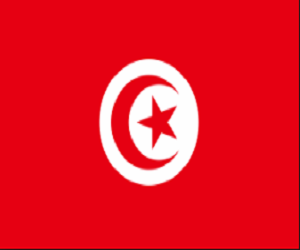 السفاره التونسيه